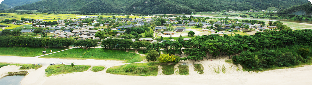 安东城市游览 河回村地区