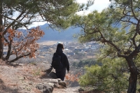 대표사진
