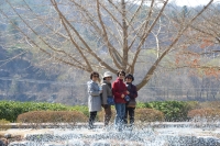 대표사진