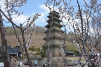 대표사진