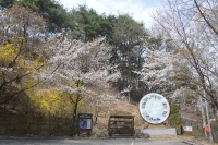 대표사진