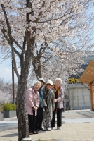 대표사진