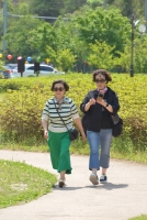 대표사진