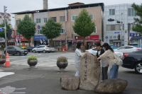 대표사진