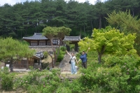 대표사진