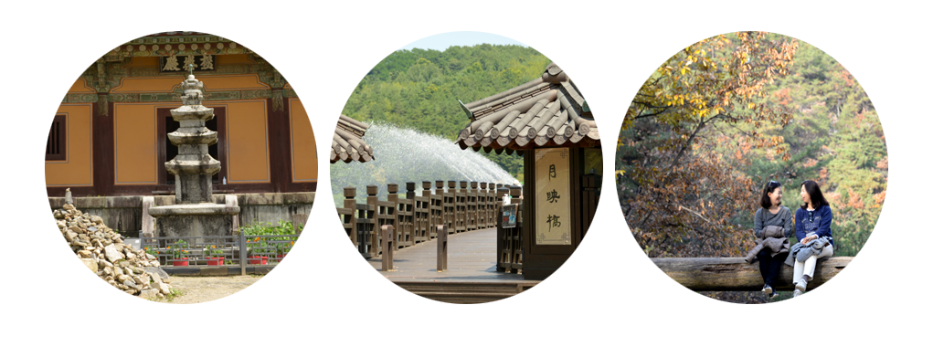 安東シティツアー　鳳停寺＆晩休亭圈域